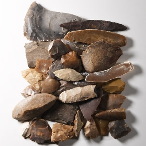 Stone Age Flint Implement Collection