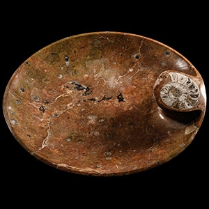 Natural History - Large Polished Bowl with Fossil Goniatite