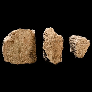Roman Wall Plaster Fragment Group