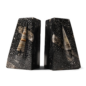 Natural History - Polished Fossil Orthoceras Book Ends
