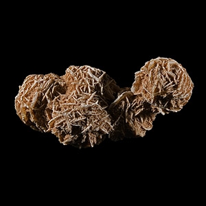 Natural History - Large Selenite Desert Rose Crystal Cluster