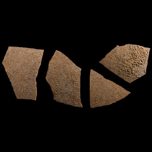 Natural History - Giant Elephant Bird Eggshell Group