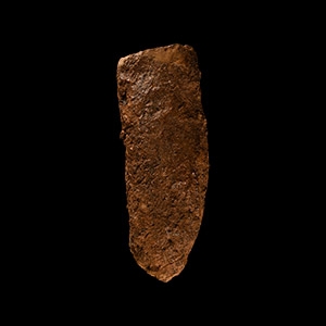 Natural History - Fossil Amphibian Coprolite