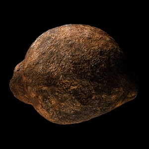 Natural History - Fossil Amphibian Coprolite