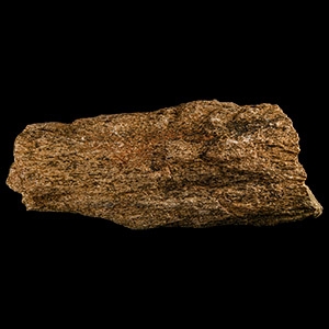 Natural History - Triceratops Dinosaur Frill Bone Section