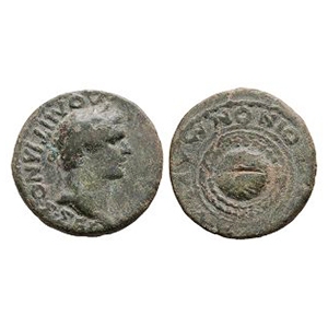 Ancient Roman Provincial Coins - Domitian - Koinon of Macedonia - Shield Bronze