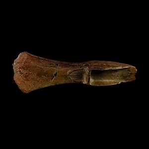 Bronze Age Shield Type Palstave Axehead