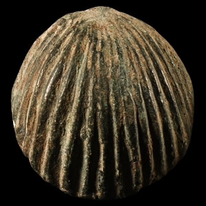 Roman Bronze Scallop Shell Mount