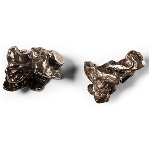 Natural History - Campo Del Cielo Iron Meteorite Pair