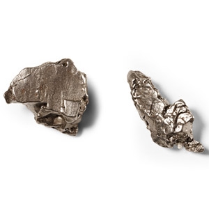 Natural History - Campo Del Cielo Iron Meteorite Pair