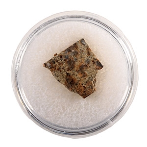 Natural History - NWA 2947 Chondrite Meteorite Slice in Gem Case