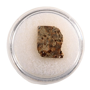 Natural History - NWA 2947 L5 Chondrite Meteorite Slice in Case