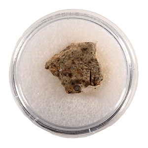 Natural History - NWA 2947 Chondrite Meteorite Slice in Gem Case