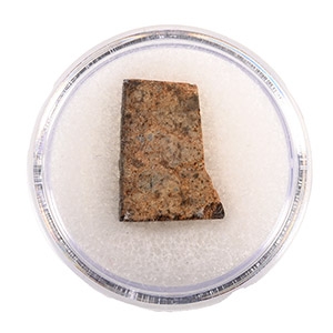 Natural History - NWA 073 L6 Chondrite Meteorite Slice in Gem Case