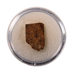 Natural History - NWA 073 L6 Chondrite Meteorite Slice in Gem Case