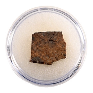 Natural History - NWA 073 L6 Chondrite Meteorite Slice in Case