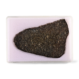 Natural History - Large NWA 15250 L5 Chondrite Meteorite Slice in Case