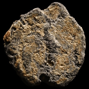 Large Jewish Lead Seal with Menorah