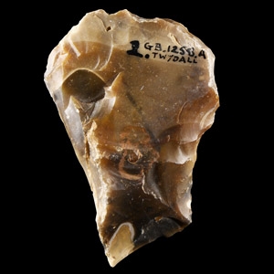 Stone Age Twydall Flint Flake Implement