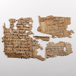 Egyptian Papyrus Fragment Group