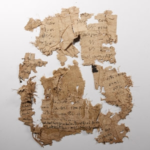 Egyptian Papyrus Fragment Group