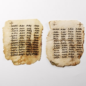 Vellum Manuscript Page Group