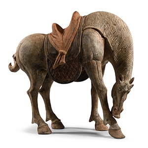 Chinese Tang Terracotta Horse Standing with Head Down
