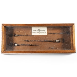 Roman Legionary Fortress Nails
