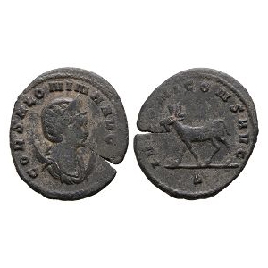 Ancient Roman Imperial Coins - Salonina - Doe AE Antoninianus