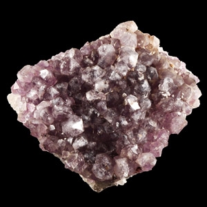 Natural History - Amethyst Crystal Geode Section