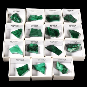 Natural History - Boxed Polished Malachite Section Group [15]