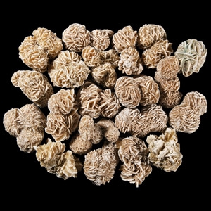Natural History - Large Desert Rose Specimen Group [20]