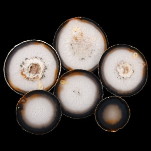 Natural History - Polished Agate Crystal Geode Coaster Set [6]