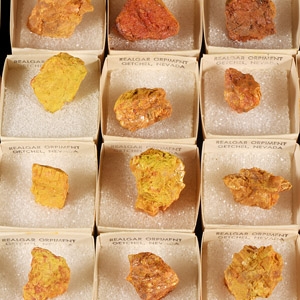 Natural History - Boxed Realgar Orpiment Specimen Group [20]