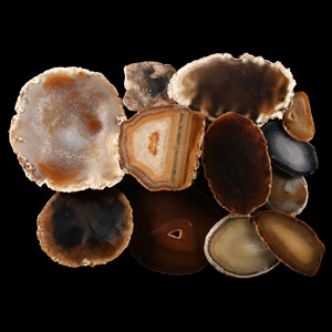 Natural History - Cut and Polished Agate Crystal Geode Half and Slice Group [10]