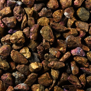 Natural History - Chalcopyrite Peacock Ore Specimen Group [100]