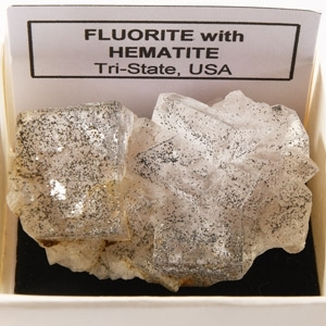 Natural History - Boxed Fluorite with Hematite Mineral Specimen