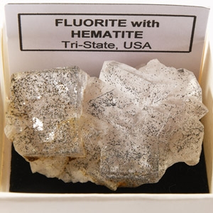 Natural History - Boxed Fluorite with Hematite Mineral Specimen