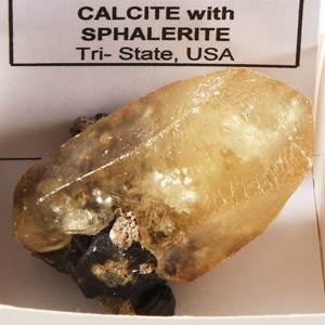 Natural History - Boxed Calcite with Sphalerite Mineral Specimen