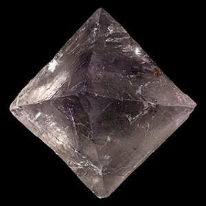 Natural History - Boxed Lilac Fluorite Specimen