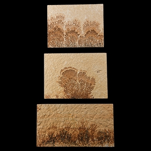 Natural History - Mocha Stone (Dendritic Limestone) Tile Group [3]