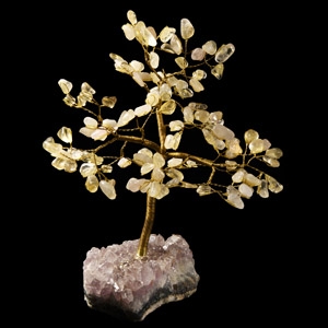 Natural History - Polished Citrine Quartz Crystal Tree on Amethyst Crystal Base