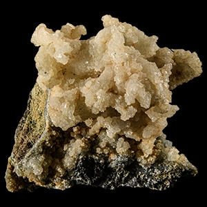 Natural History - Boxed Historic Coral Calcite Specimen