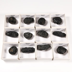 Natural History - Boxed Meteorite Crater Tektite Specimen Collection [12]