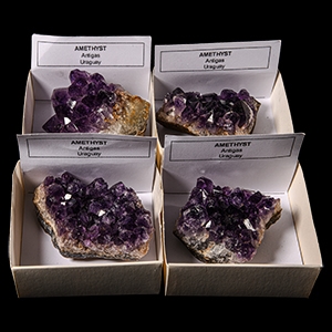 Natural History - Boxed Amethyst Crystal Display Specimen Group [4]