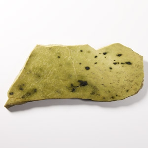 Natural History - Large Cut & Polished Leopard Nephrite Jade Slab