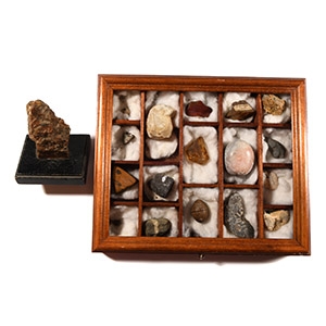 Natural History - Cased Mineral and Fossil Collection