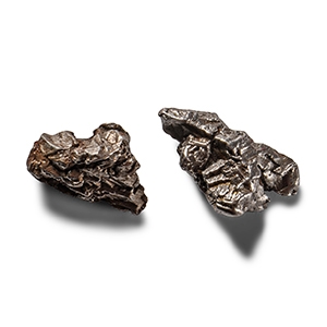 Natural History - Campo Del Cielo Iron Meteorite Pair