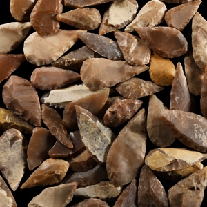 Stone Age Flint Leaf-Shaped Arrowhead Group