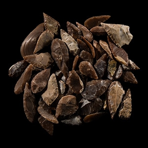 Stone Age Flint Leaf-Shaped Arrowhead Group